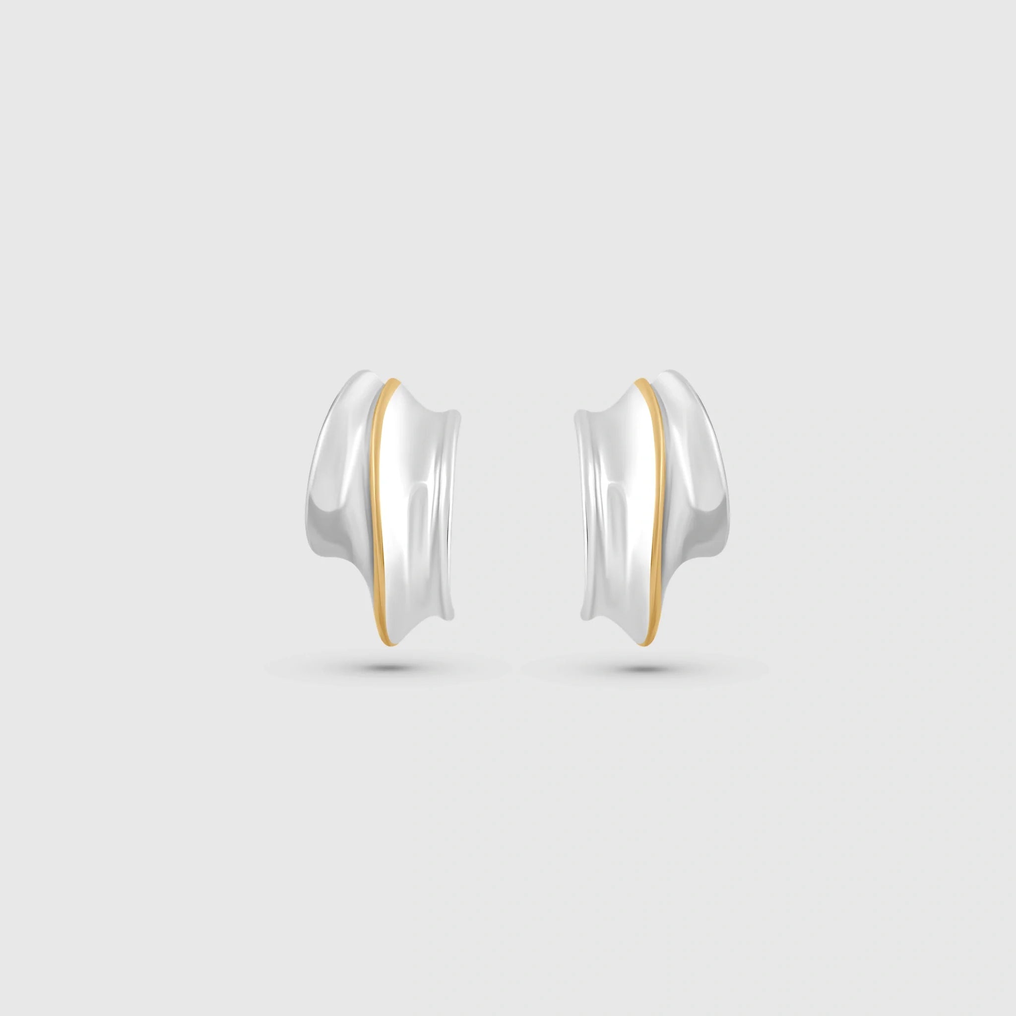Curved line Earrings